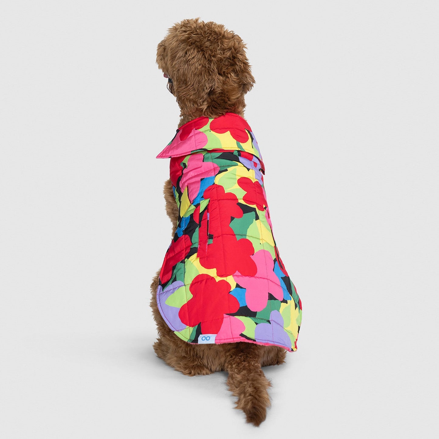 size: Molly is wearing a size XLP
