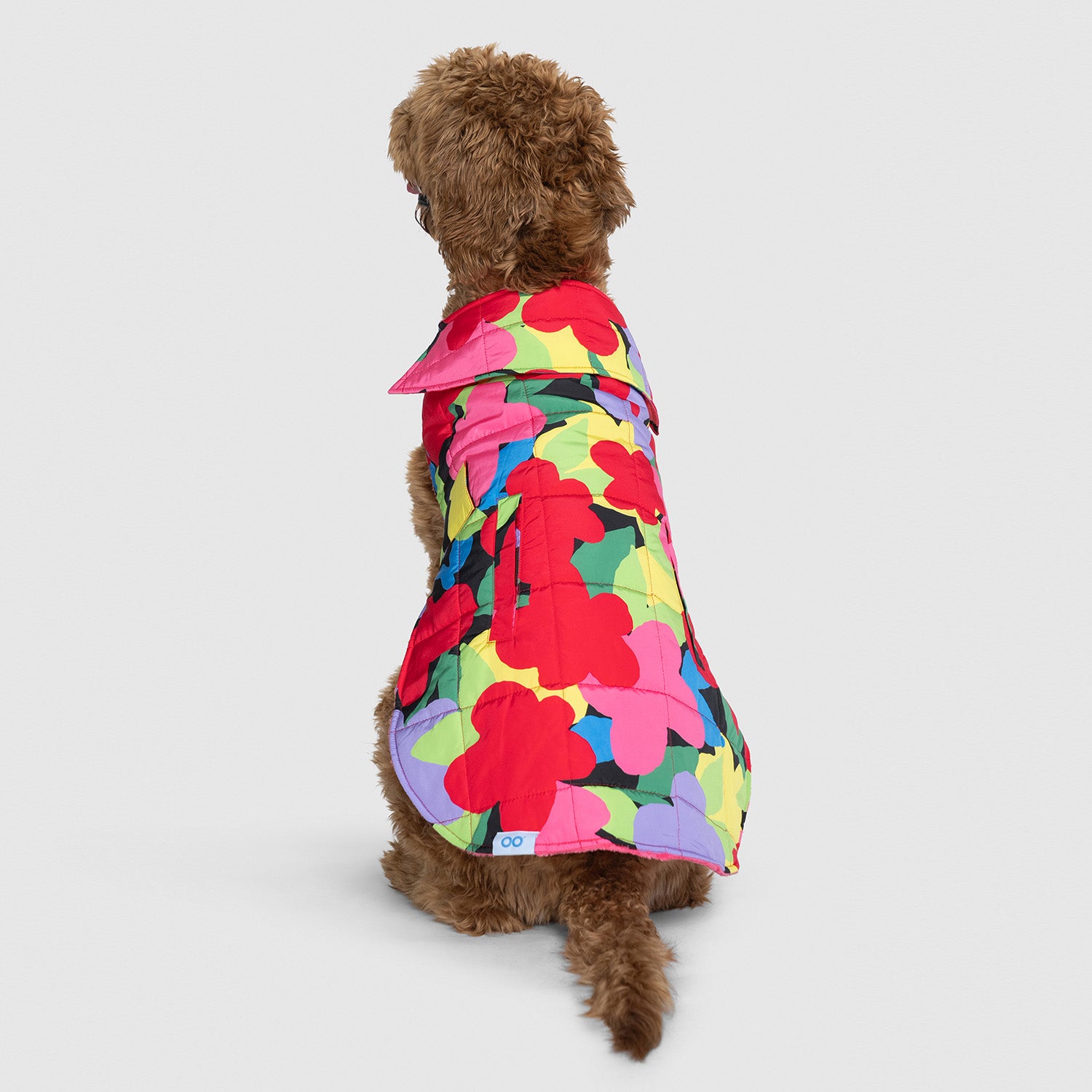 size: Molly is wearing a size XLP