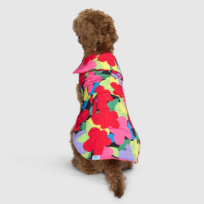 size: Molly is wearing a size XLP