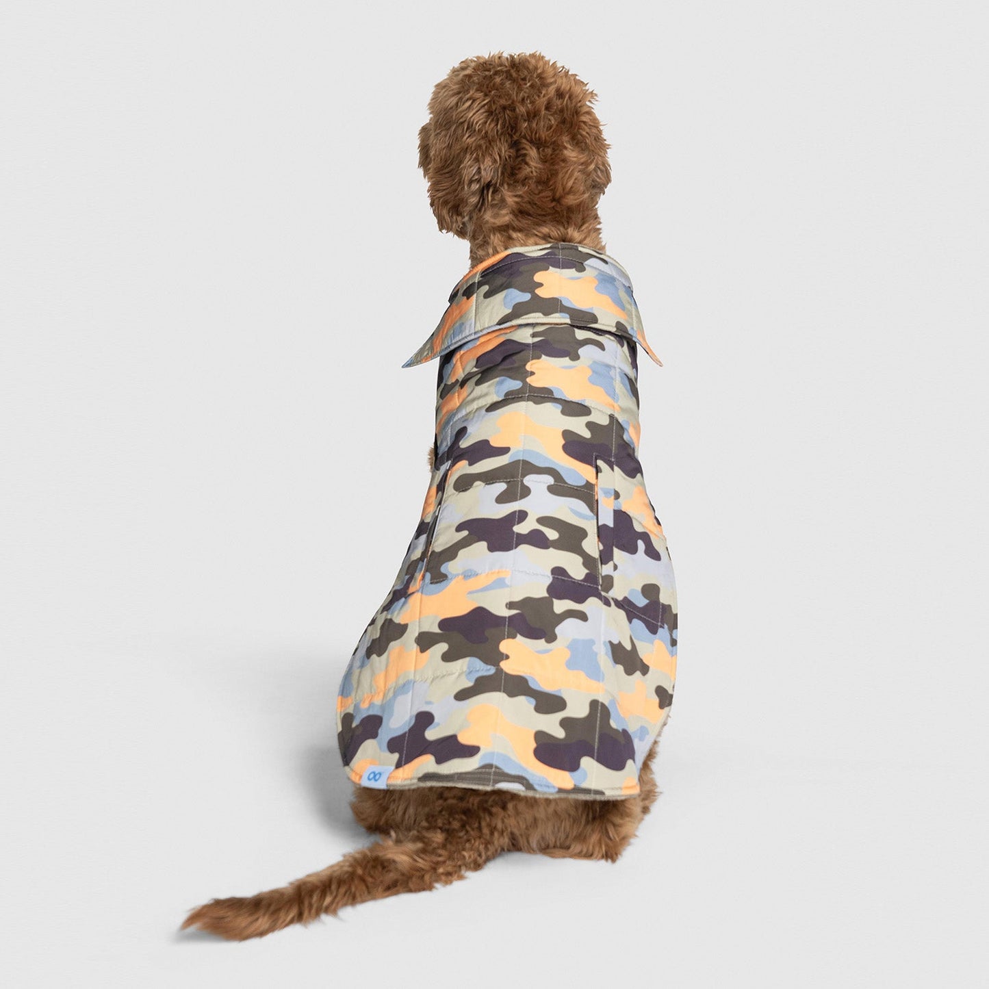 size: Molly is wearing a size XLP