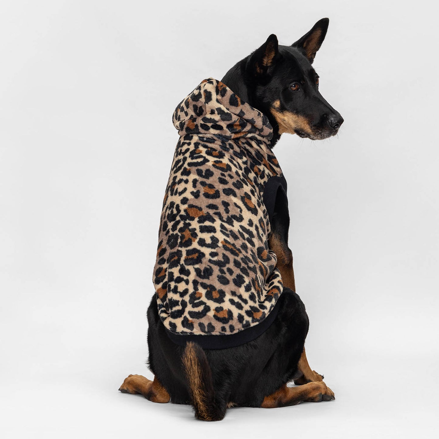 size: Yee Ho - size XL, weight 21kg, age 8