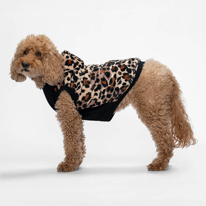 size: Kali - size XL, weight 13kg, age 10