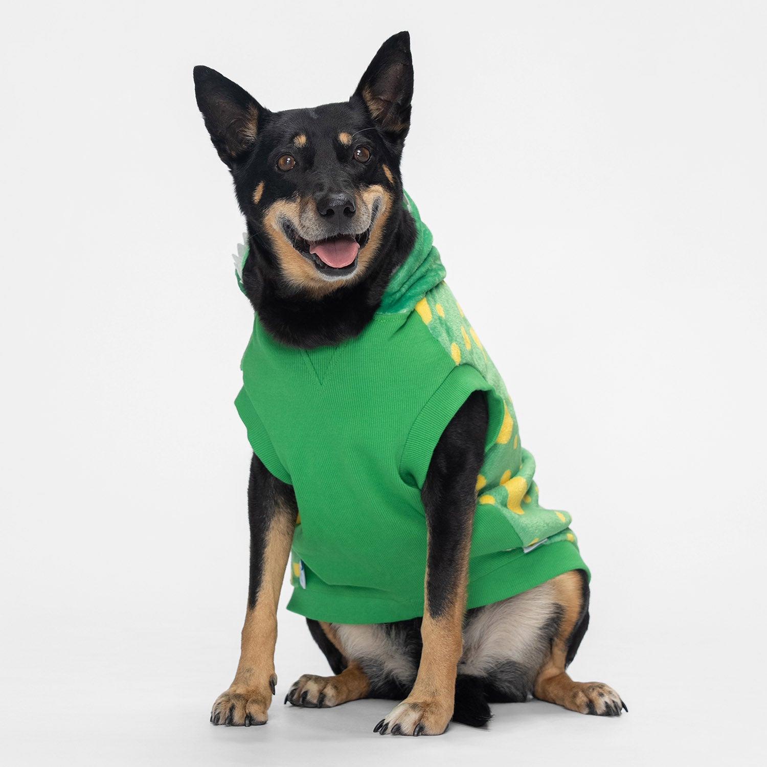 size: Lo - size XL, weight 17kg, age 10