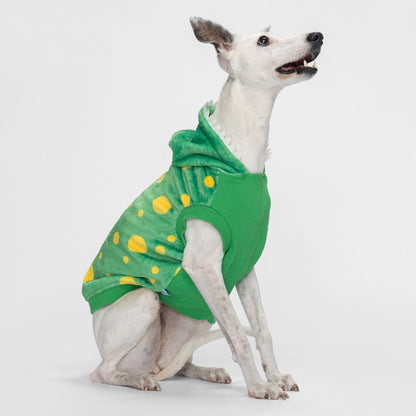 size: Lilly - size M, weight 10kg, age 10