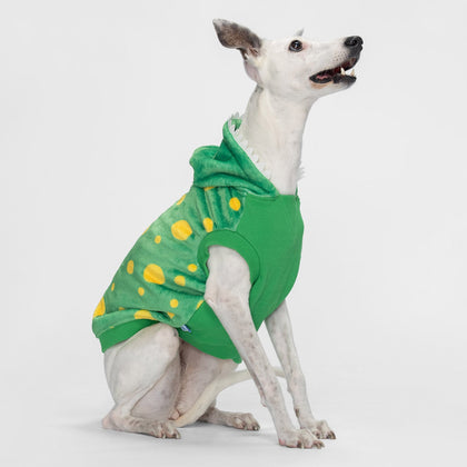 size: Lilly - size M, weight 10kg, age 10