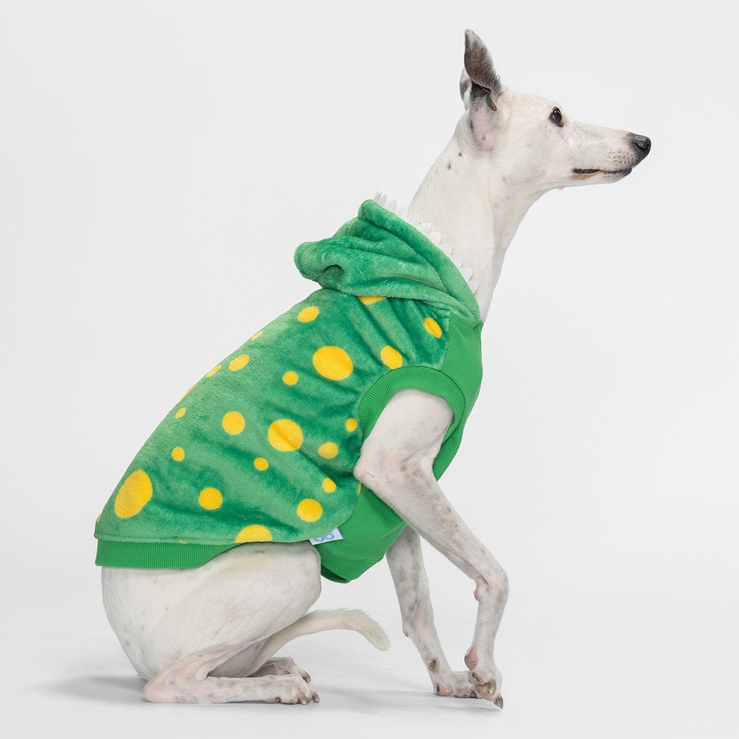 size: Lilly - size M, weight 10kg, age 10