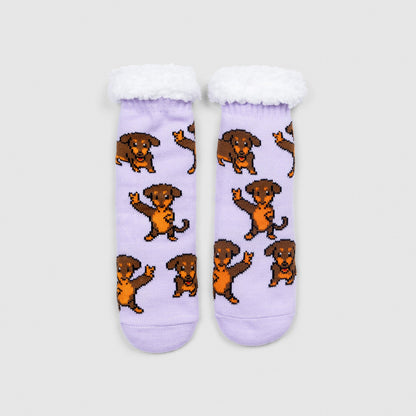 Dachshund